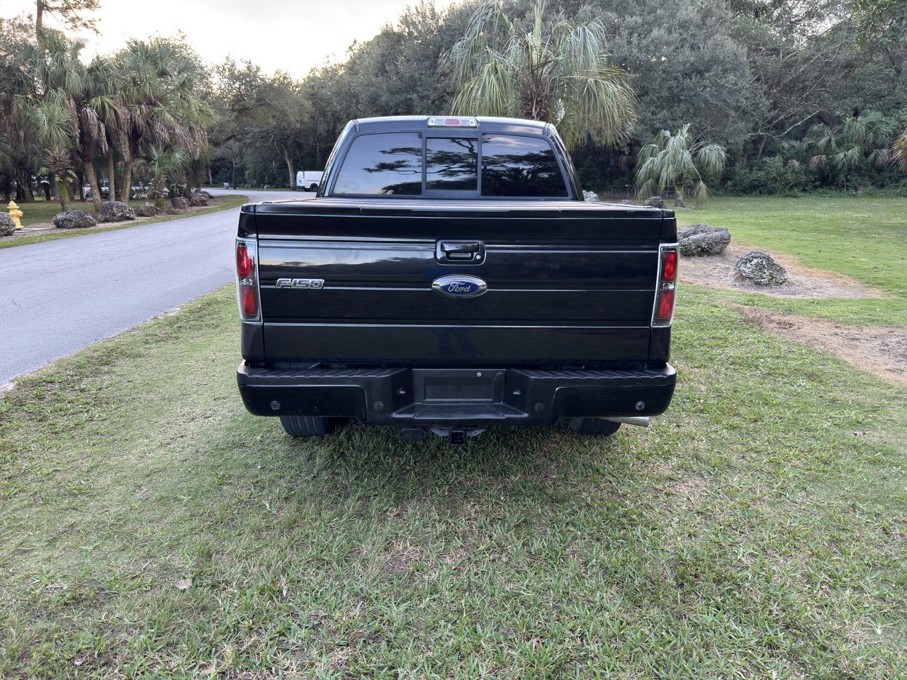 Ford F-150 2WD SuperCrew 145" FX2 Sport 2013