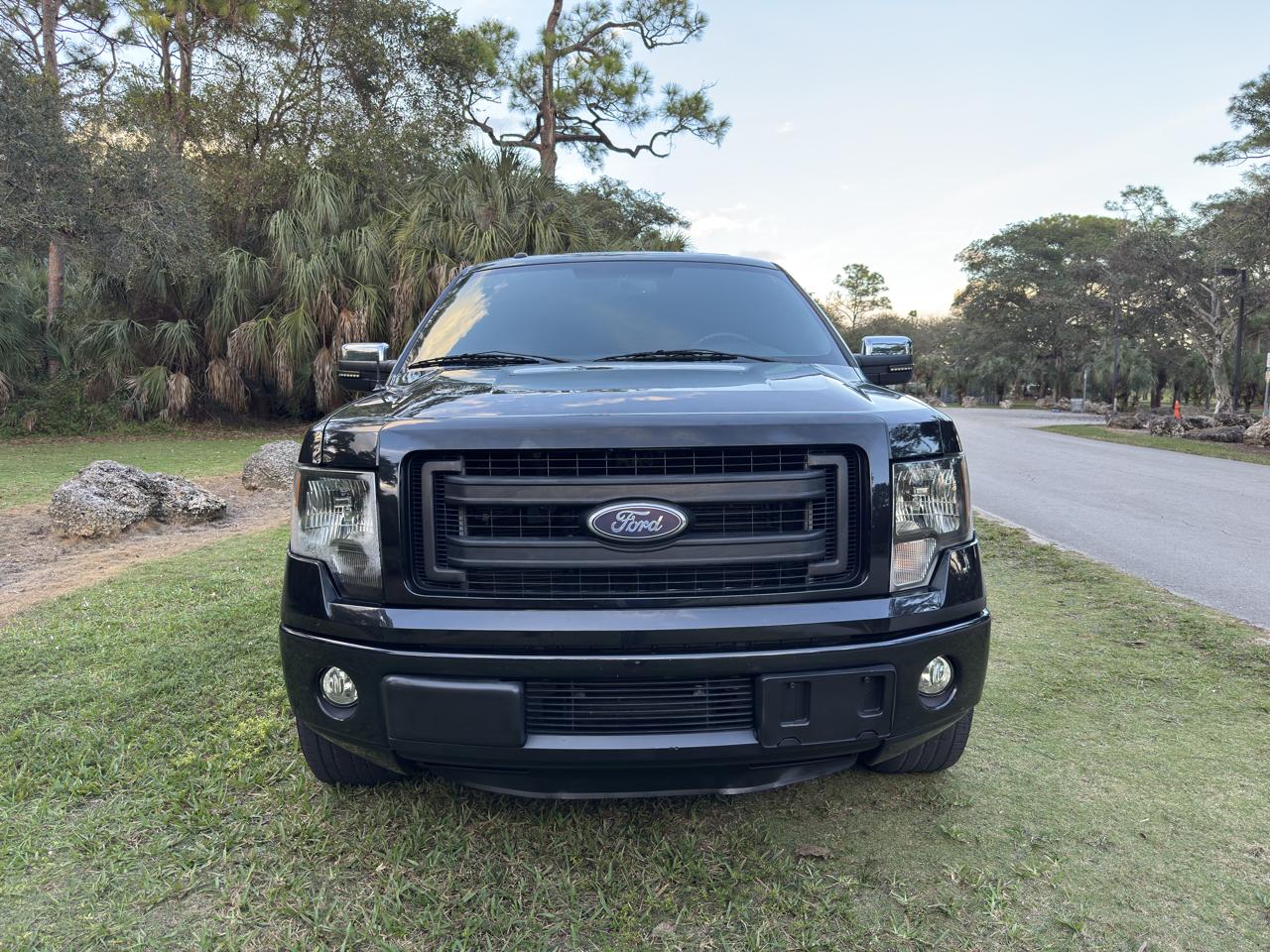 Ford F-150 2WD SuperCrew 145" FX2 Sport 2013