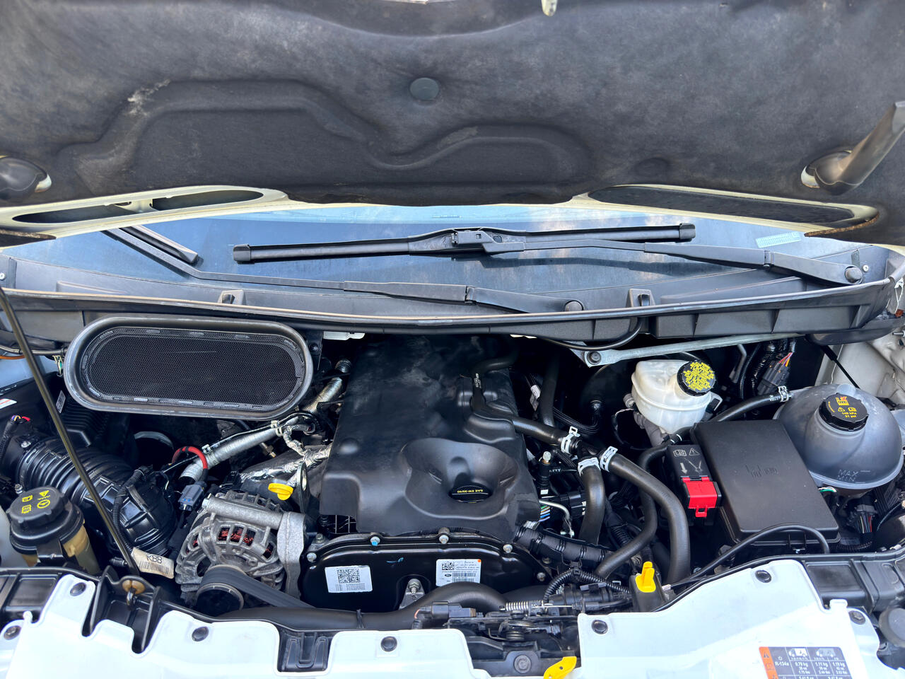 Ford Transit Van  2019