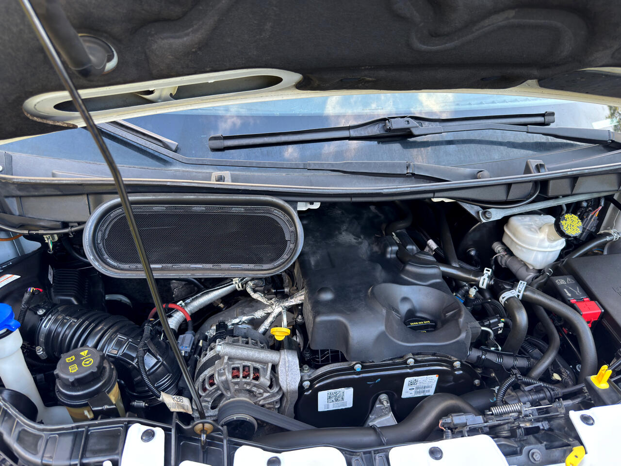 Ford Transit Van  2019