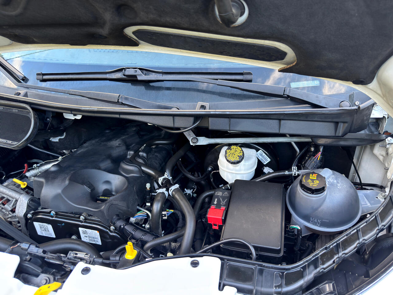 Ford Transit Van  2019