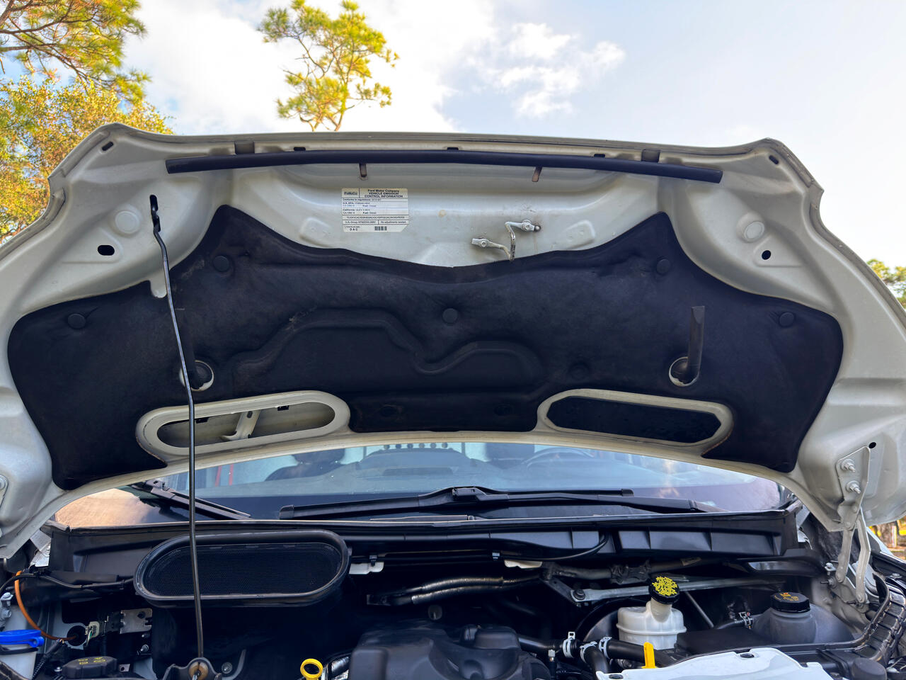 Ford Transit Van  2019