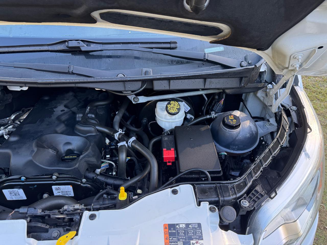 Ford Transit Van  2019