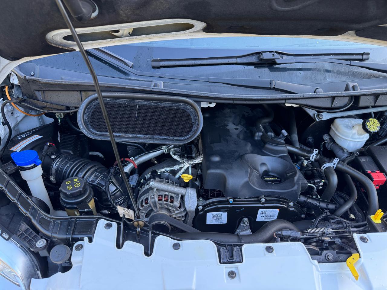 Ford Transit Van  2019