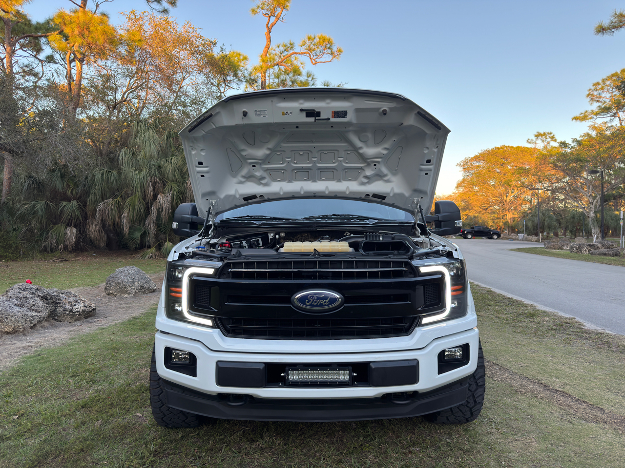 Ford F-150  2019