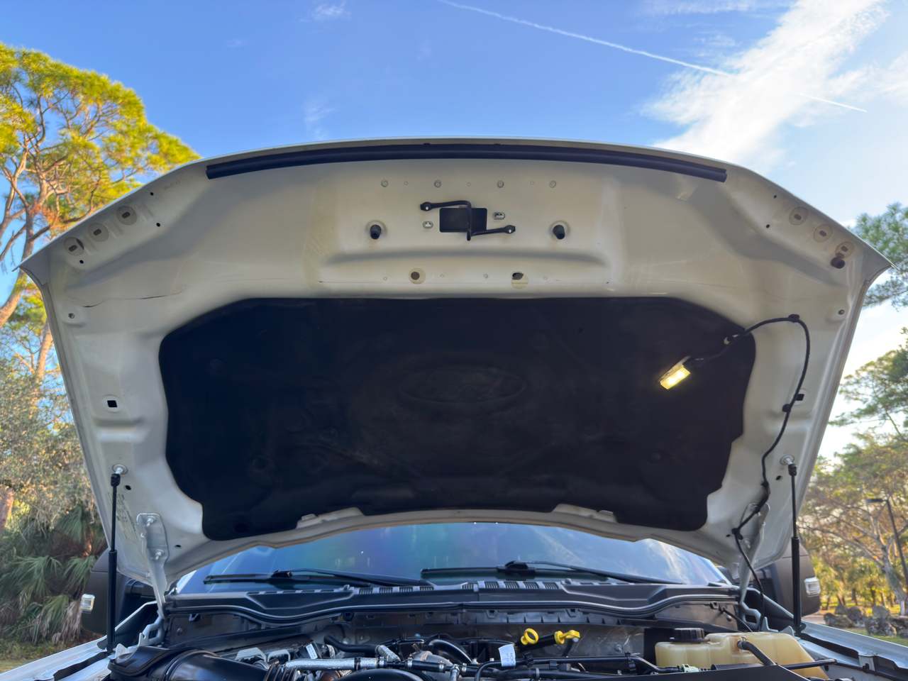 Ford Super Duty F-250 SRW  2019