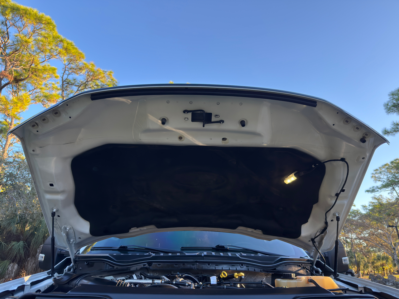 Ford Super Duty F-250 SRW  2019