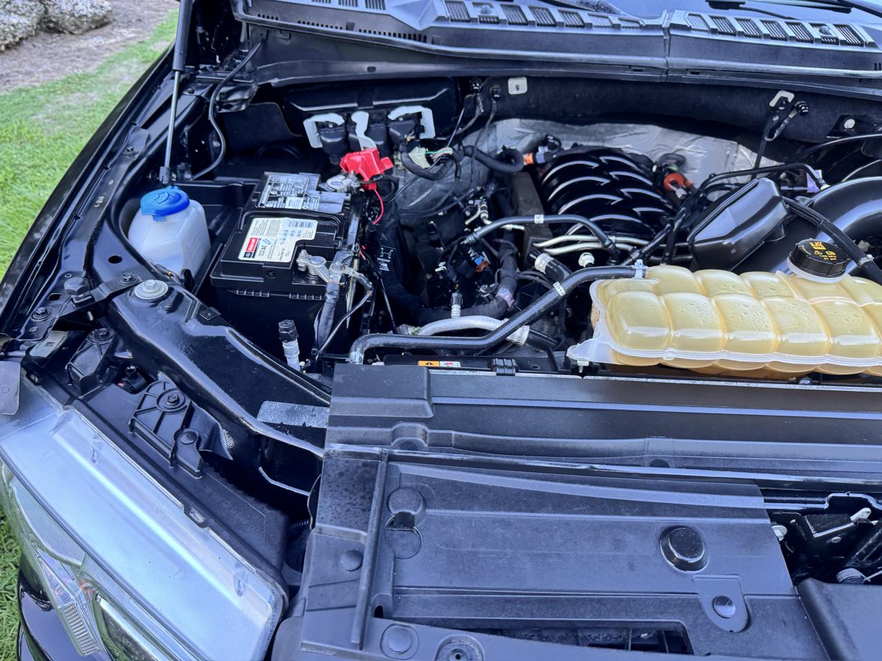 Ford F-150 XLT 4WD SuperCrew 5.5' Box 2019