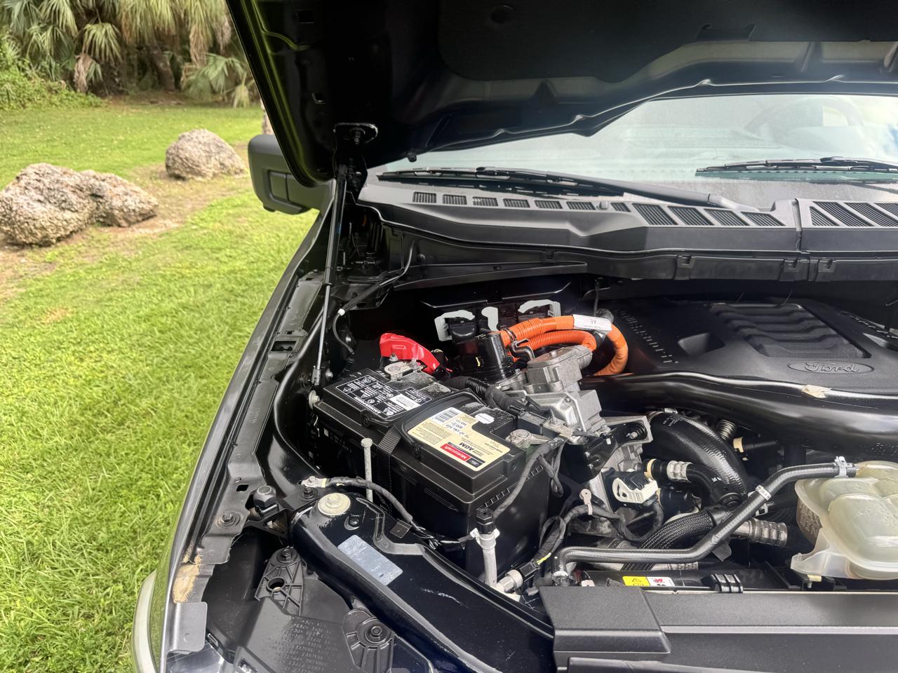 Ford F-150 XLT 2WD SuperCrew 6.5' Box 2021