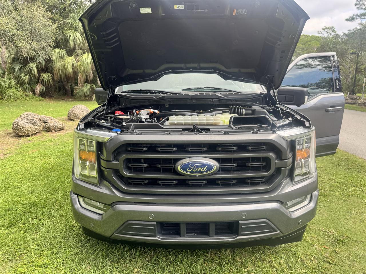Ford F-150 XLT 2WD SuperCrew 6.5' Box 2021