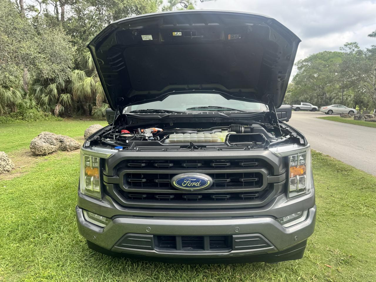 Ford F-150 XLT 2WD SuperCrew 6.5' Box 2021