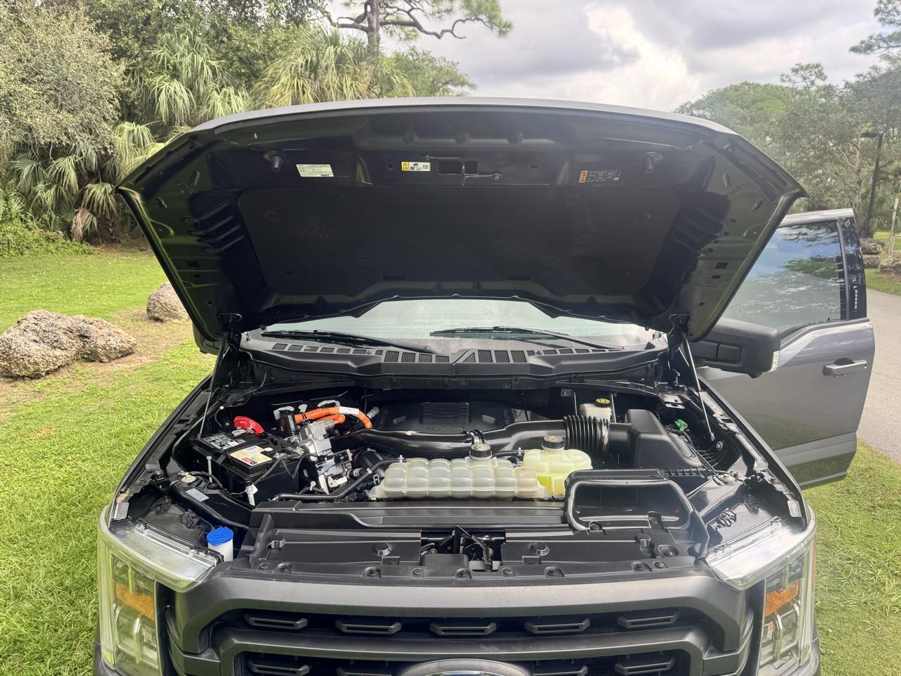 Ford F-150 XLT 2WD SuperCrew 6.5' Box 2021