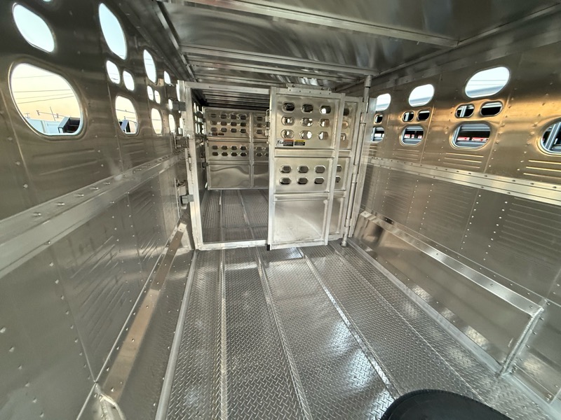 Wilson Ranch Hand  2025