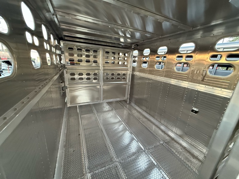 Wilson Ranch Hand  2025