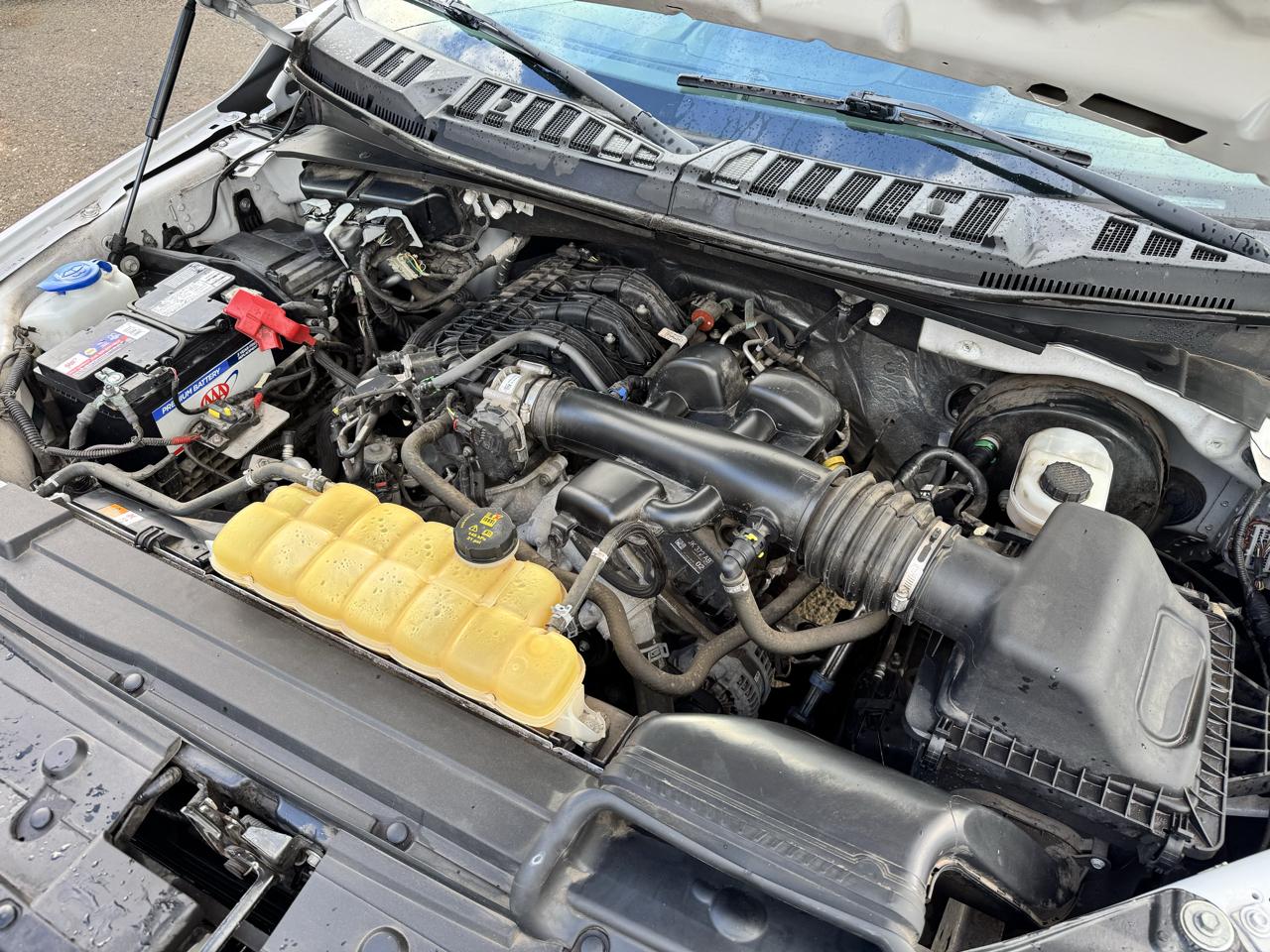 Ford F-150 2WD Reg Cab 145" XL 2019