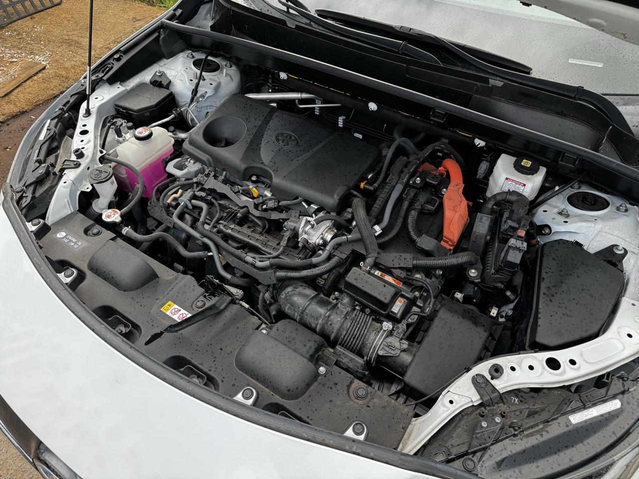 Toyota Venza Nightshade AWD (Natl) 2024