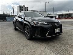 2019 Lexus UX 