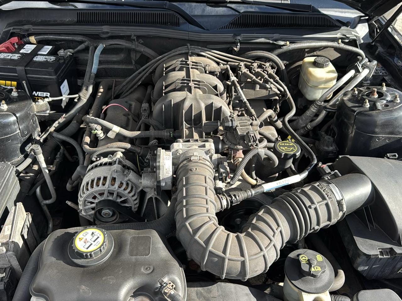 Ford Mustang 2dr Cpe Premium 2008