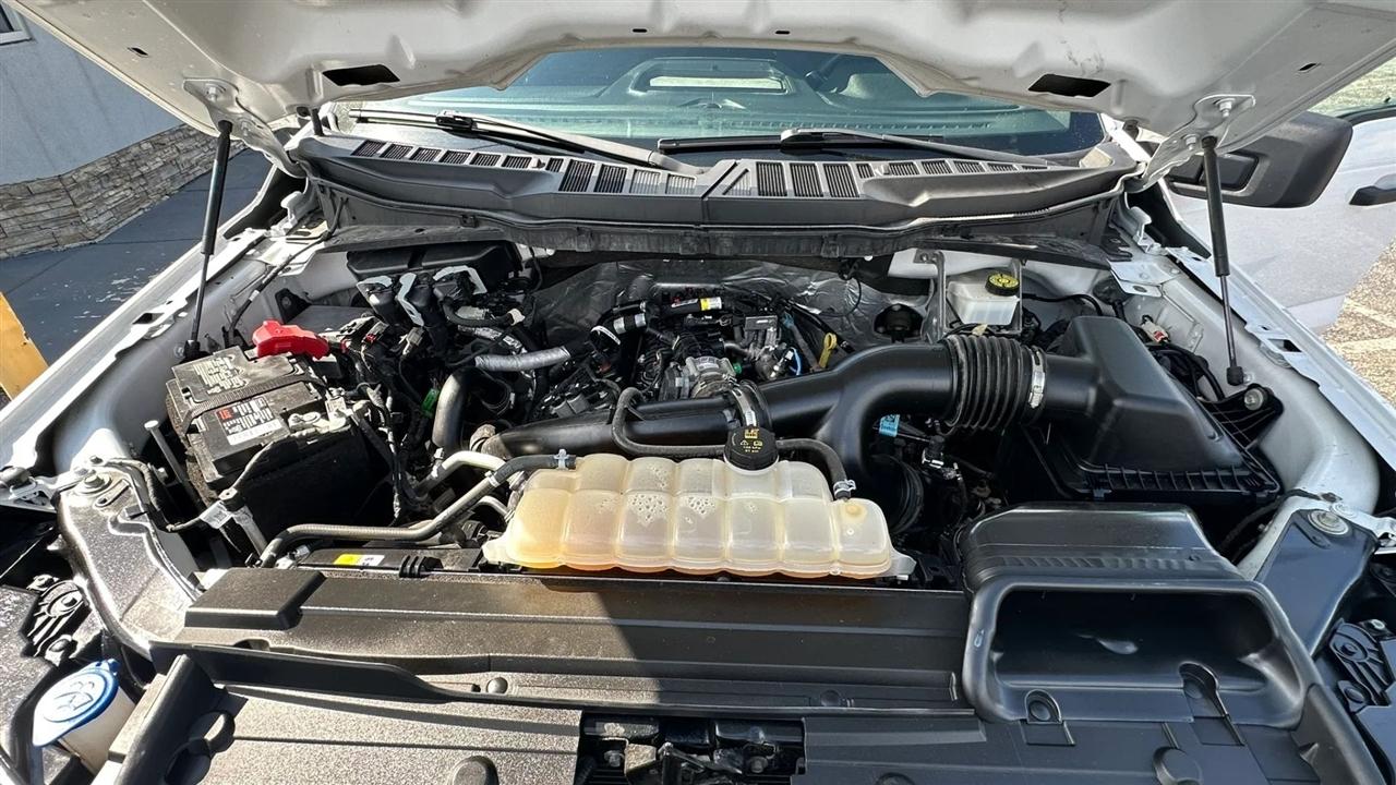 Ford F-150 XL SuperCrew 5.5-ft. Bed 4WD 2023
