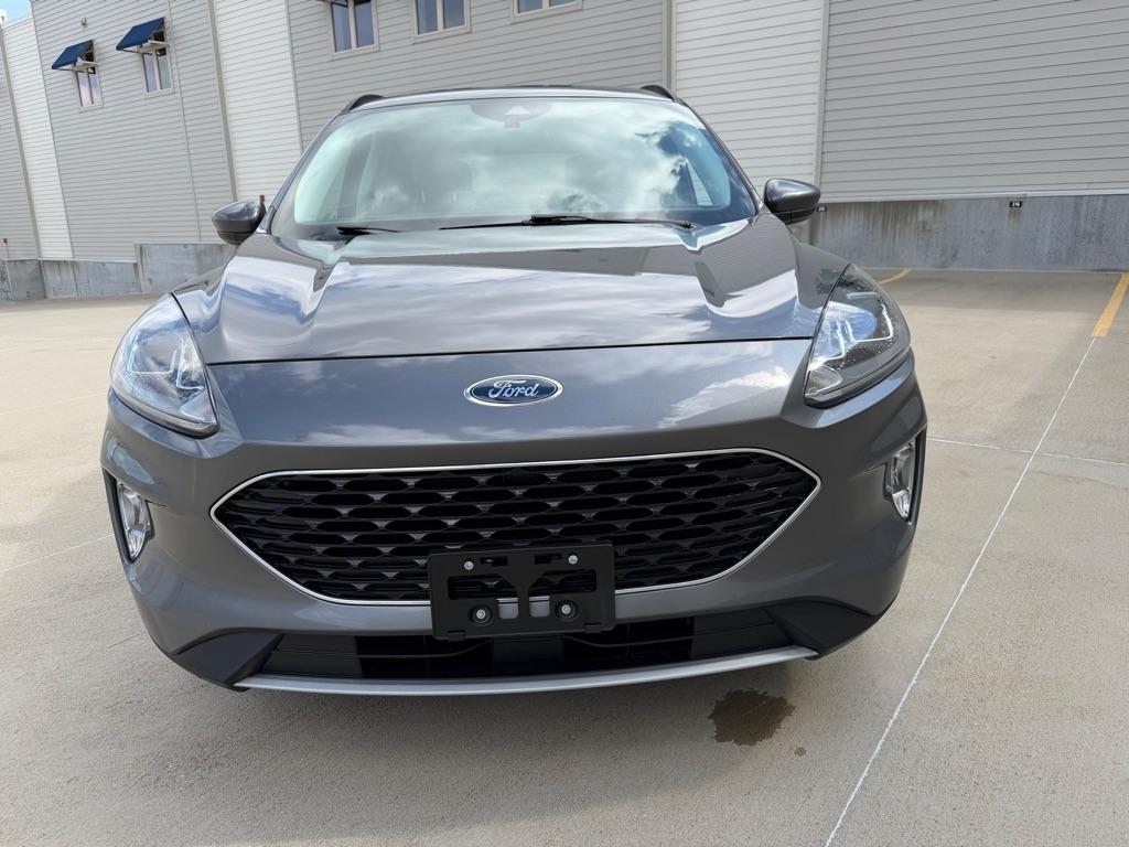 Ford Escape Hybrid SEL 2021