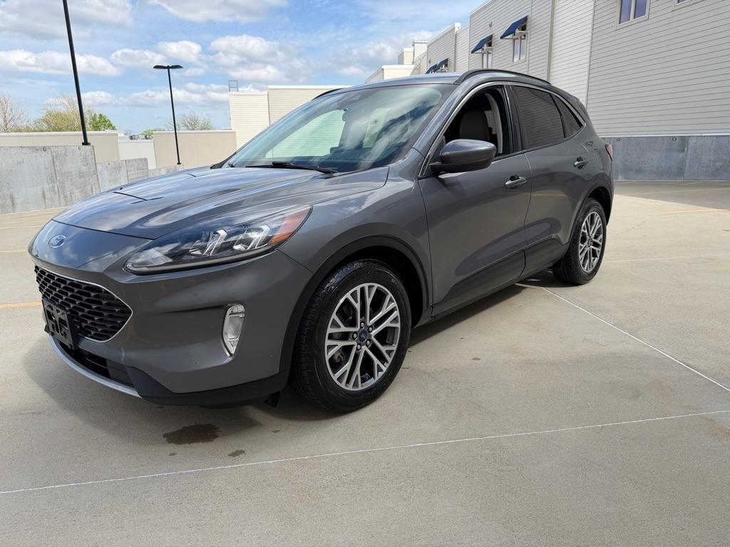 Ford Escape Hybrid SEL 2021