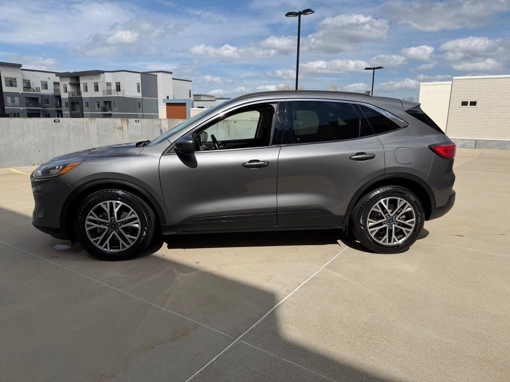 Ford Escape Hybrid SEL 2021