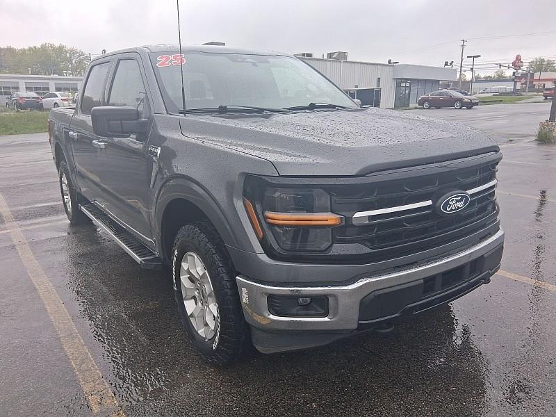 Ford F-150 XLT 4WD SuperCrew 5.5' Box 2025