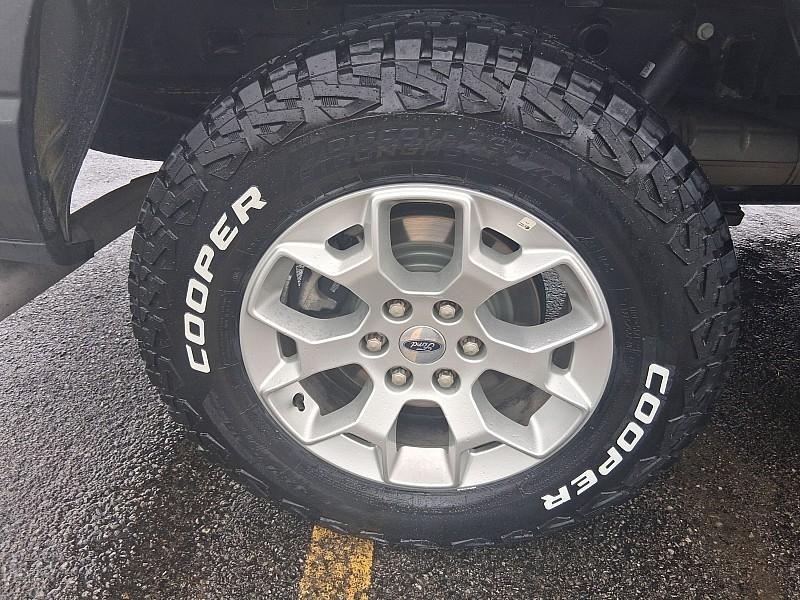 Ford F-150 XLT 4WD SuperCrew 5.5' Box 2025