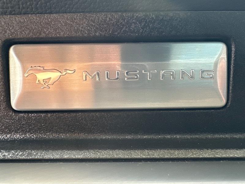 Ford Mustang GT Premium Coupe 2021