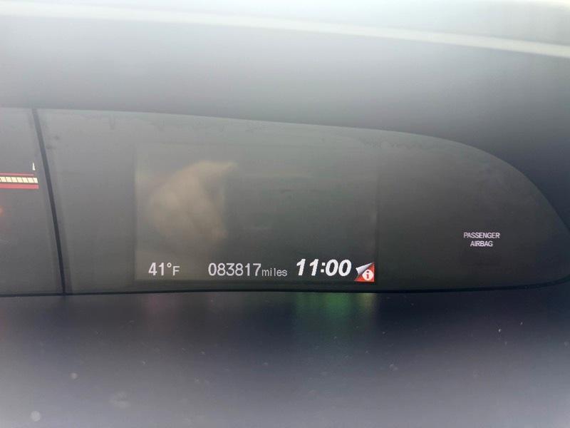 Honda Civic 2dr Cpe Si Manual 2012