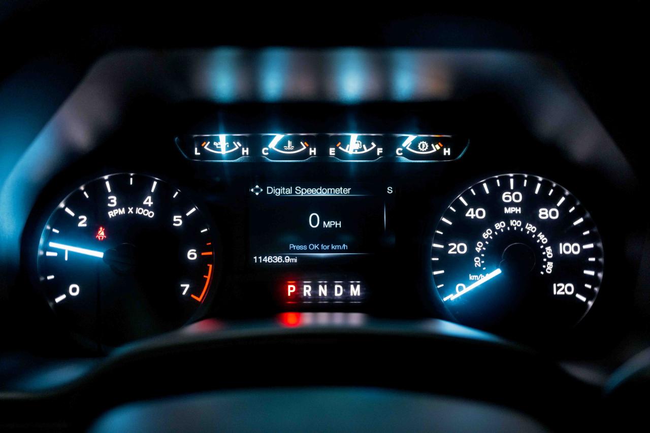 Ford F-150 XL SuperCrew 5.5-ft. Bed 4WD 2020