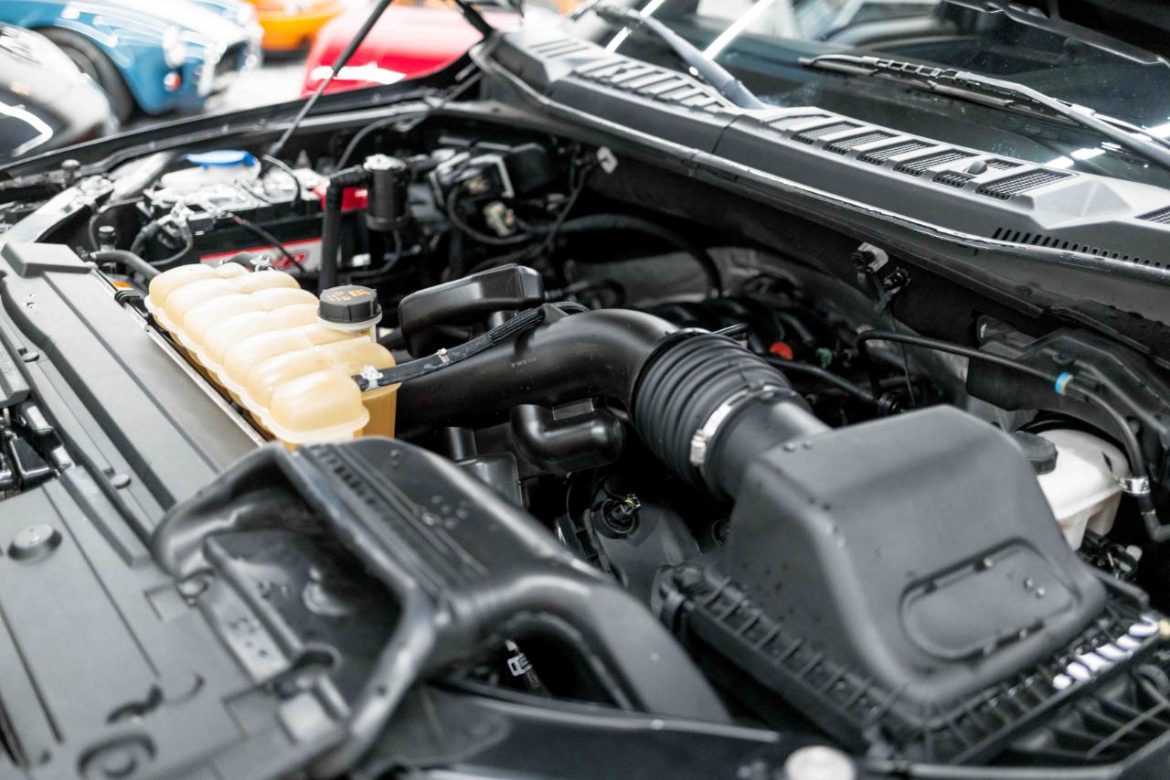 Ford F-150 XL SuperCrew 5.5-ft. Bed 4WD 2020