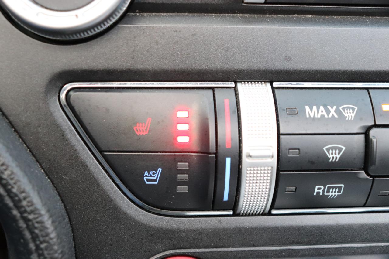 Ford Mustang EcoBoost Convertible 2023