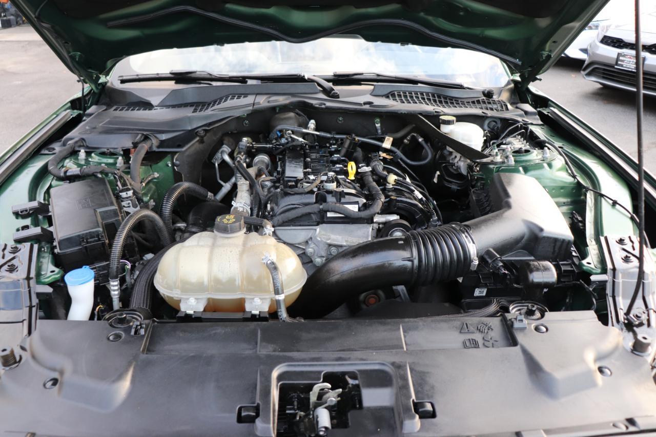 Ford Mustang EcoBoost Convertible 2023