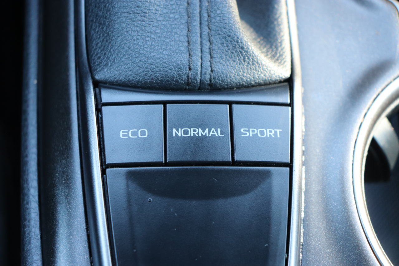 Toyota Camry SE Auto (Natl) 2024