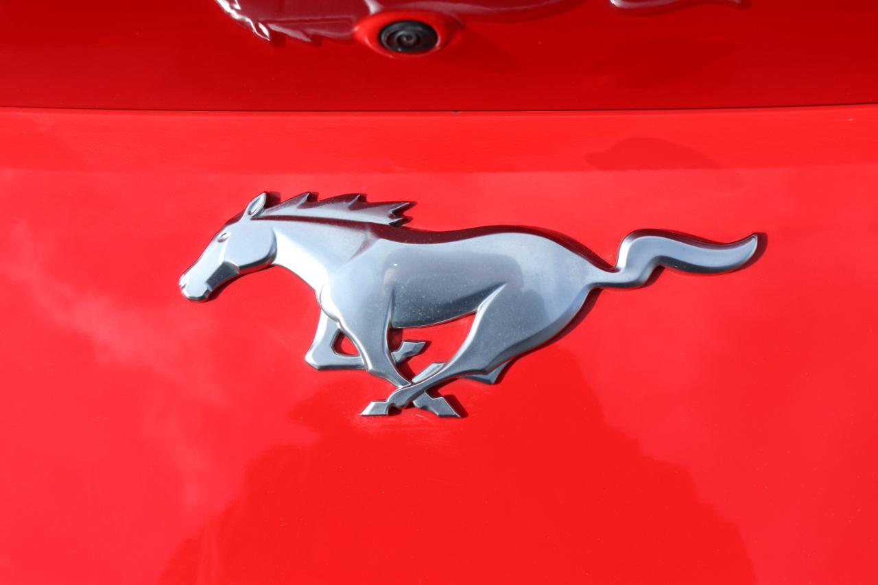 Ford Mustang EcoBoost Convertible 2024