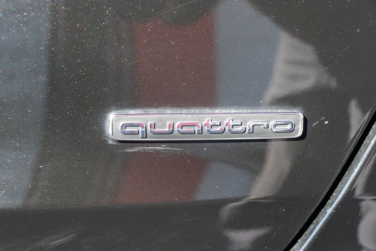 Audi A6 Sedan Premium Plus 45 TFSI quattro 2024