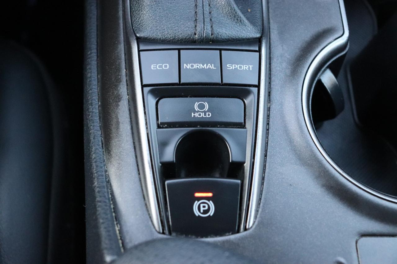 Toyota Camry XSE Auto (Natl) 2024