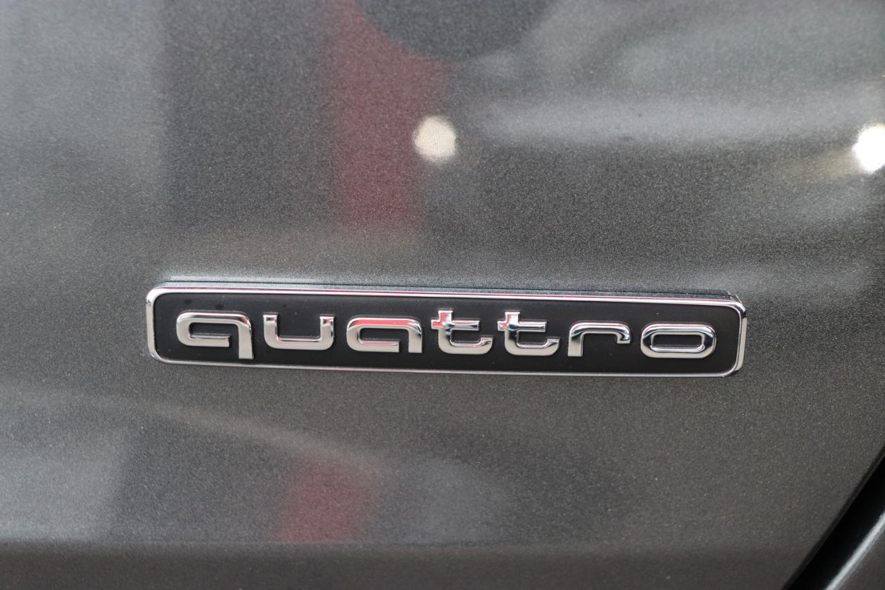 Audi A6 Sedan Premium Plus 55 TFSI quattro 2024