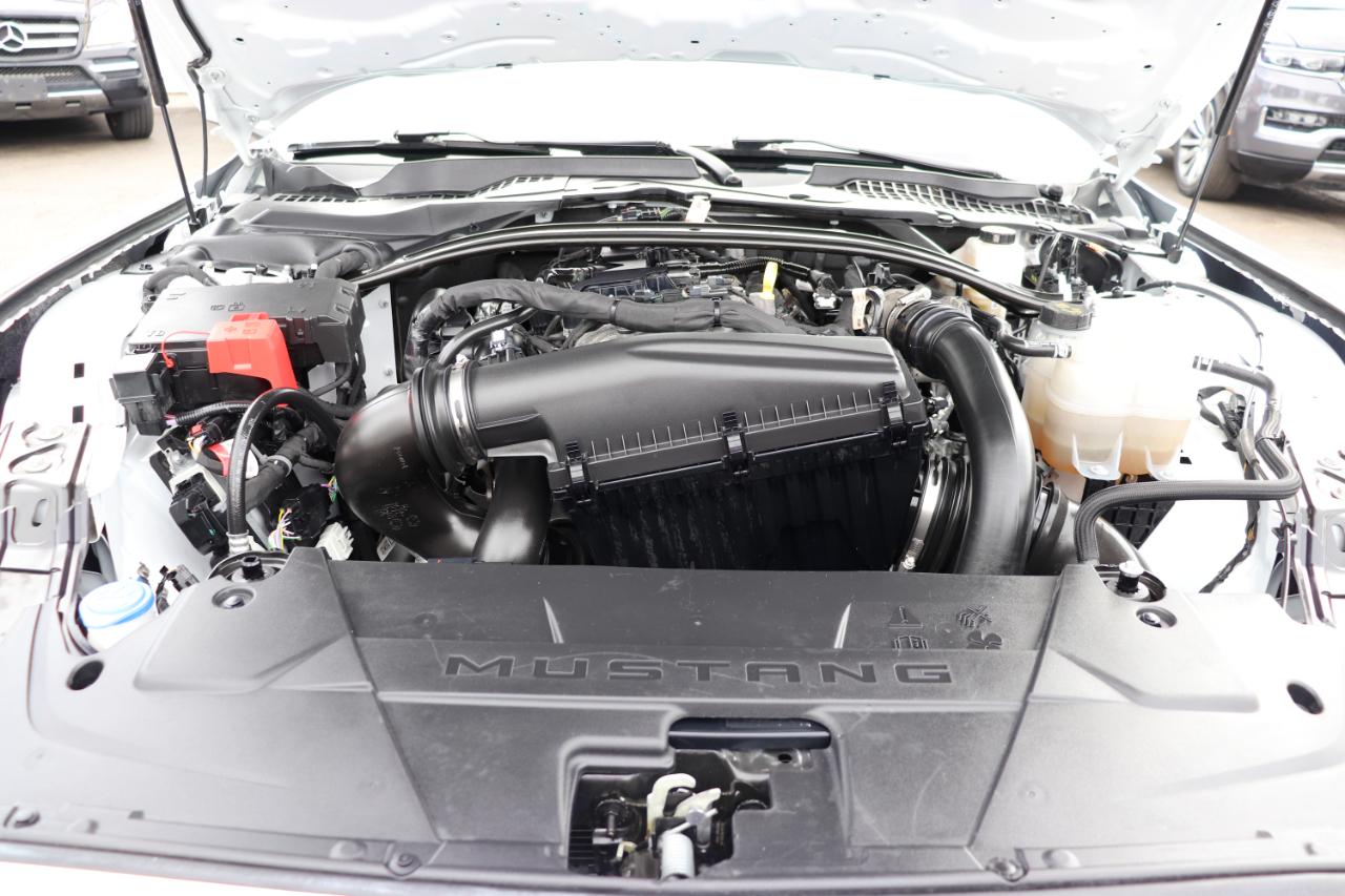 Ford Mustang EcoBoost Convertible 2025