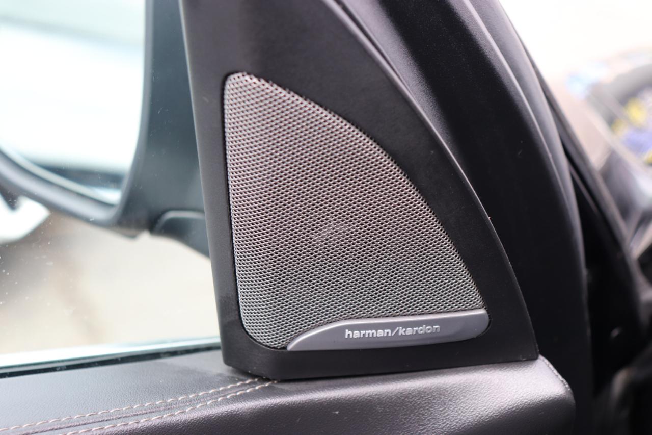 BMW X7 xDrive40i Sports Activity Vehicle 2025