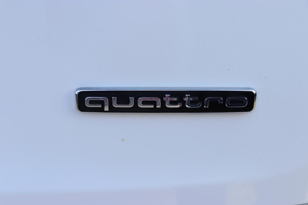 Audi Q5 Premium Plus 45 TFSI quattro 2021