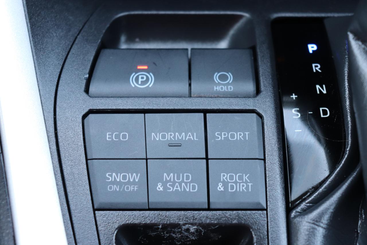 Toyota RAV4 XLE AWD (Natl) 2025