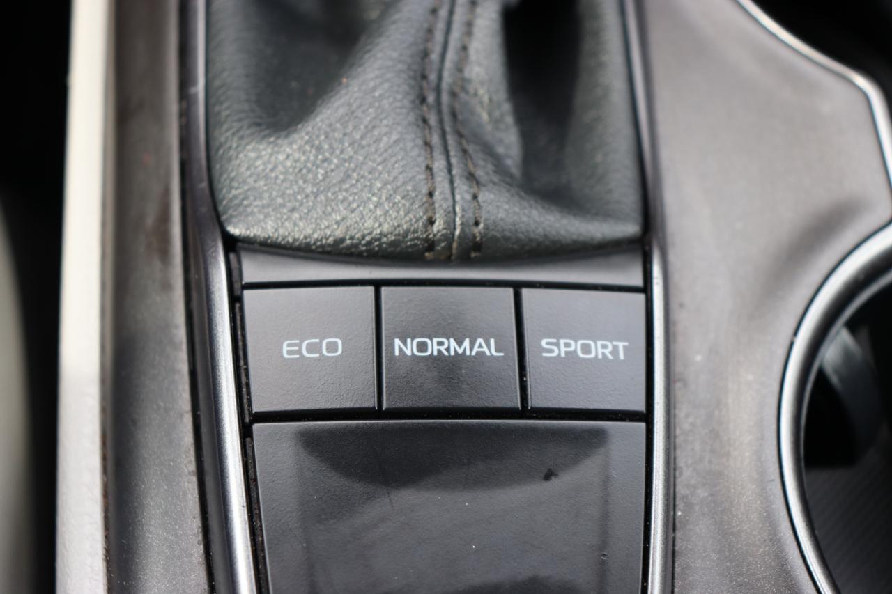 Toyota Camry SE Auto (Natl) 2023