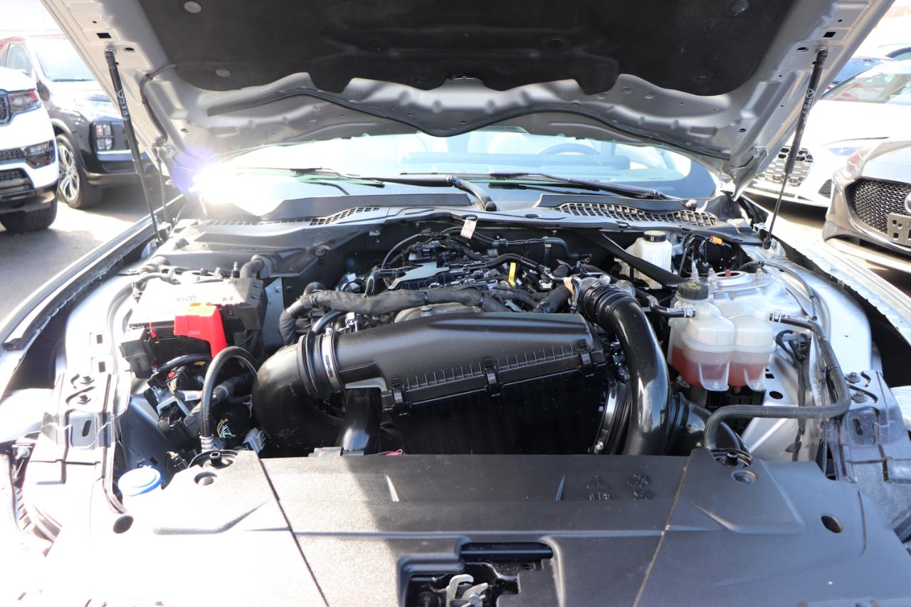 Ford Mustang EcoBoost Premium Convertible 2024