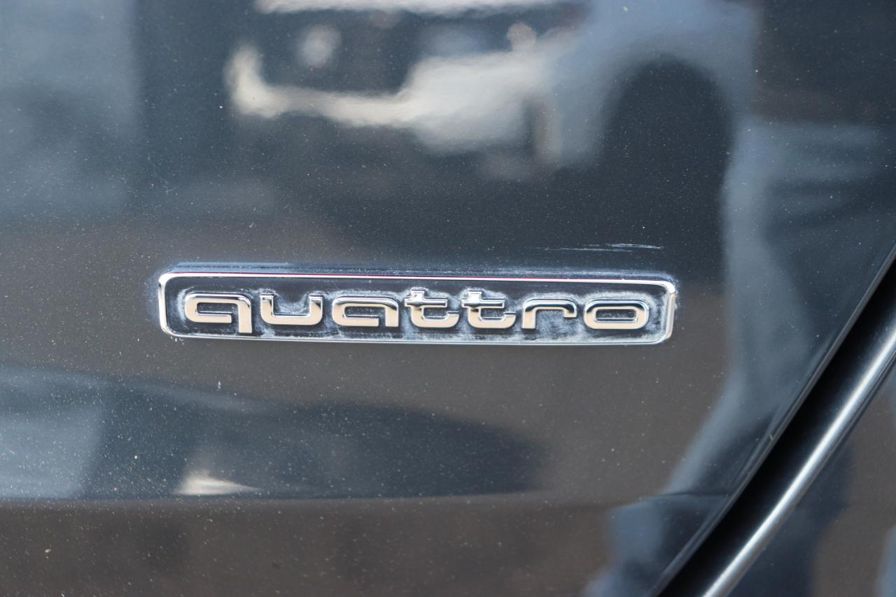 Audi A6 Sedan Premium Plus 45 TFSI quattro 2024