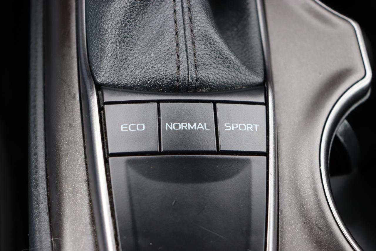 Toyota Camry SE Auto (Natl) 2024