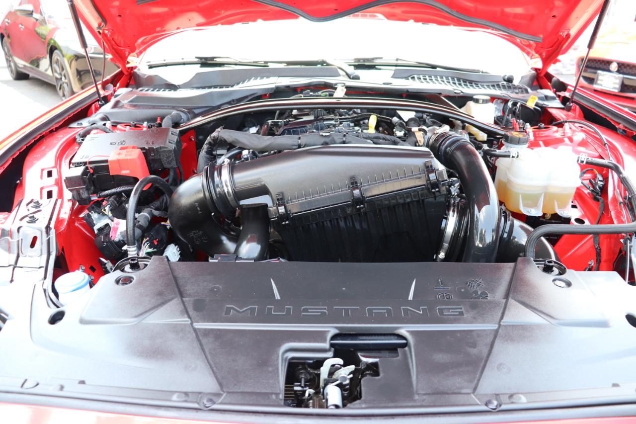 Ford Mustang EcoBoost Convertible 2026