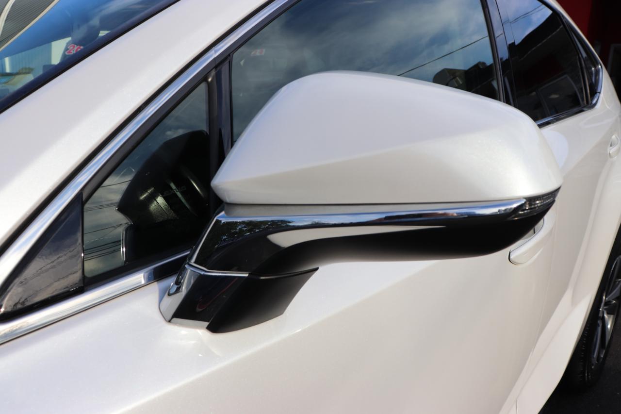 Lexus NX NX 300 AWD 2021