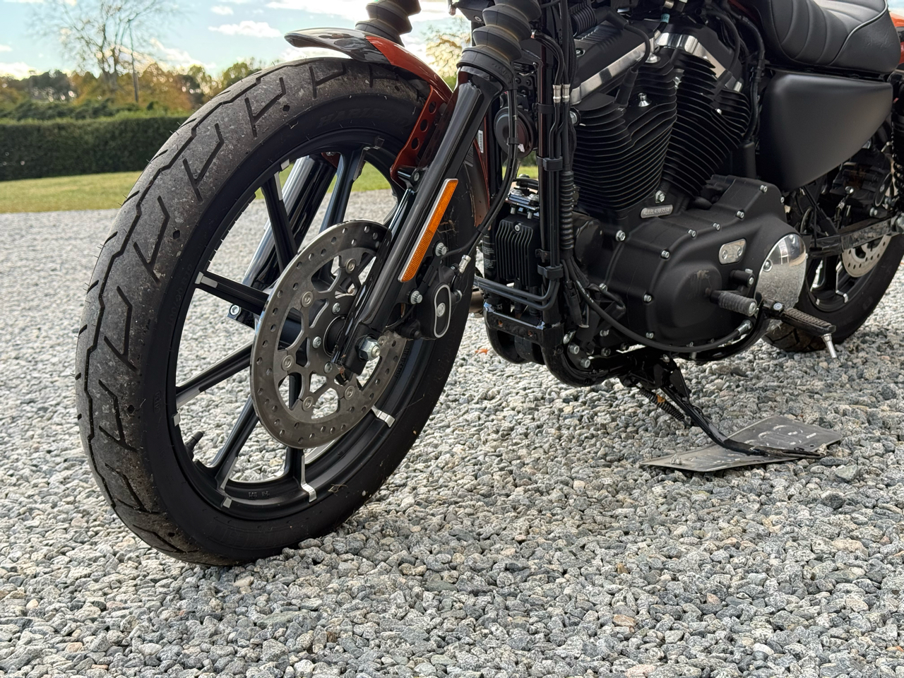 Harley-Davidson XL883N  2020